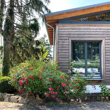 Balthasar Ress Guesthouse Am Rebhang Im Rheingau فينكل اوستريش المظهر الخارجي الصورة