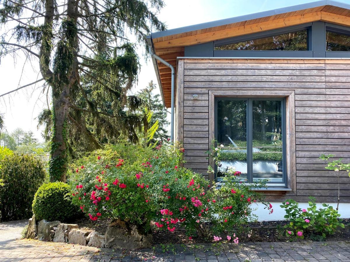 Balthasar Ress Guesthouse Am Rebhang Im Rheingau فينكل اوستريش المظهر الخارجي الصورة
